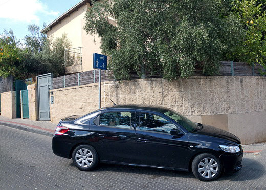 פיג'ו 301 פיג'ו 301